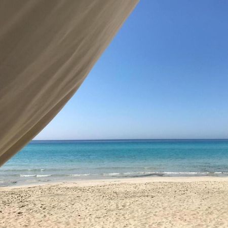 Gallipoli Mancaversa Futura Vacanza Andrea Marina di Mancaversa Eksteriør bilde
