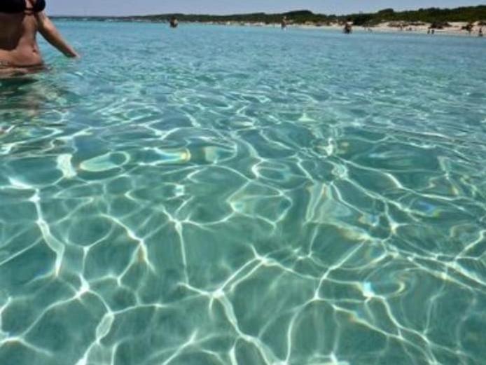 Gallipoli Mancaversa Futura Vacanza Andrea Marina di Mancaversa Eksteriør bilde